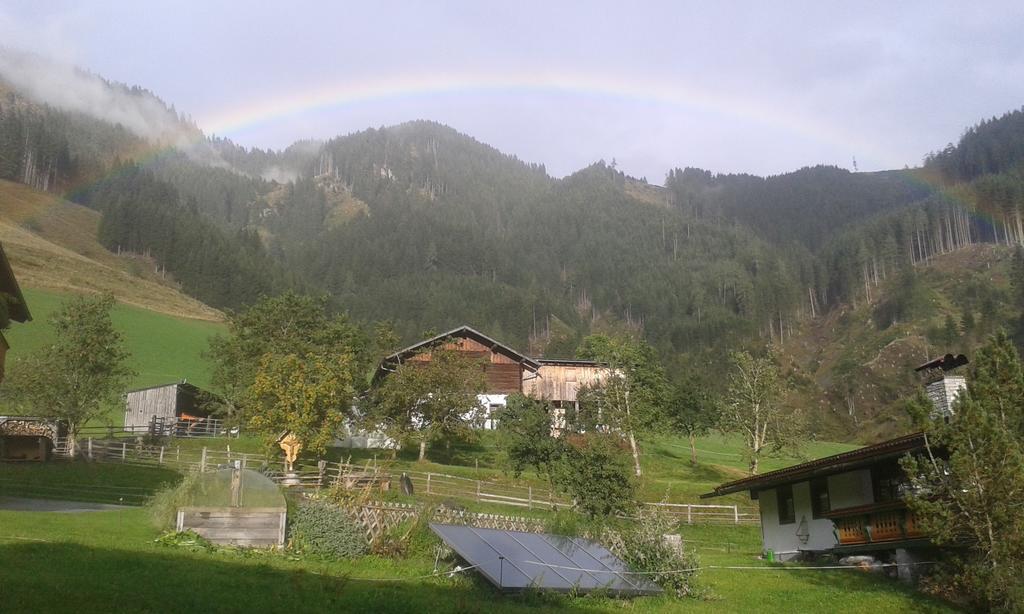 Biobergbauernhof Brandenau Lägenhet Taxenbach Rum bild