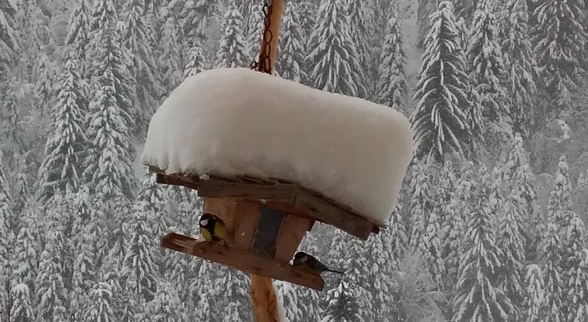Biobergbauernhof Brandenau Lägenhet Taxenbach Rum bild