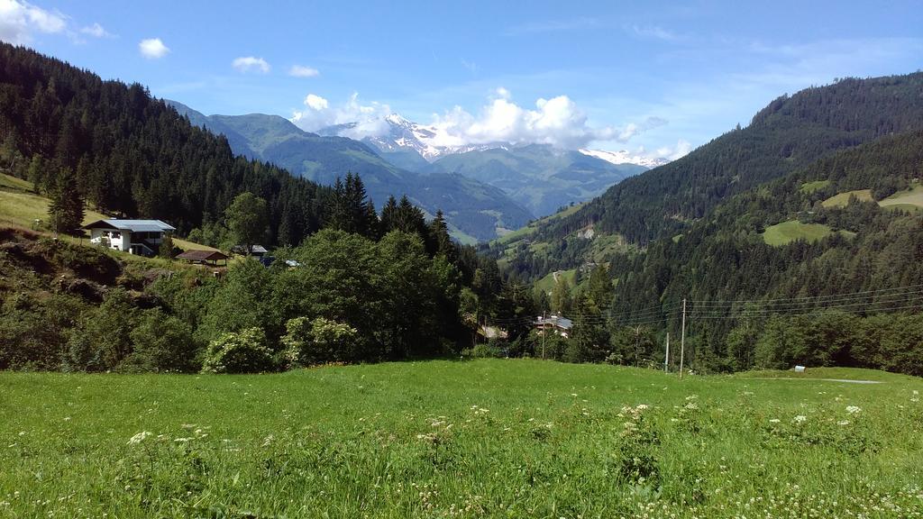 Biobergbauernhof Brandenau Lägenhet Taxenbach Exteriör bild