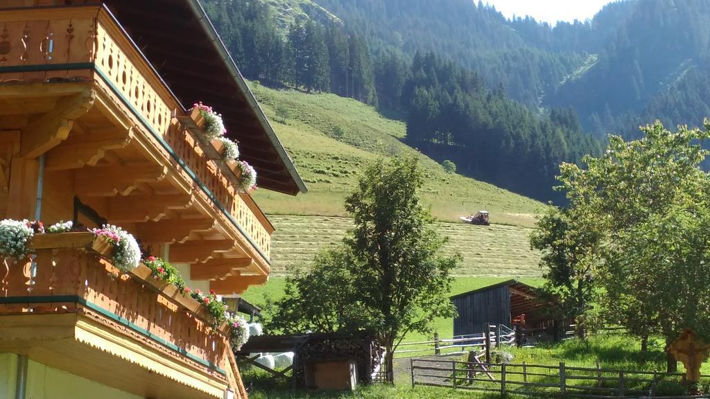 Biobergbauernhof Brandenau Lägenhet Taxenbach Exteriör bild