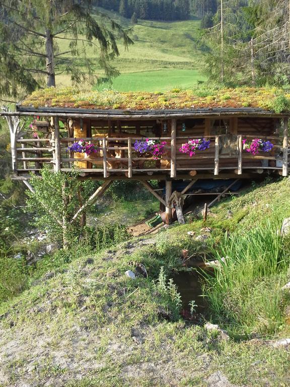 Biobergbauernhof Brandenau Lägenhet Taxenbach Exteriör bild