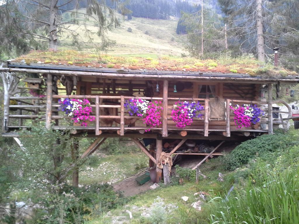 Biobergbauernhof Brandenau Lägenhet Taxenbach Exteriör bild