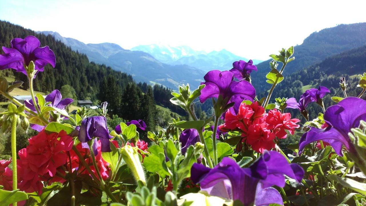 Biobergbauernhof Brandenau Lägenhet Taxenbach Exteriör bild