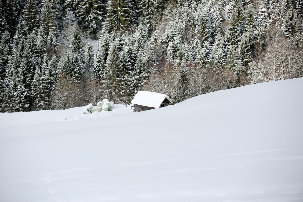 Biobergbauernhof Brandenau Lägenhet Taxenbach Exteriör bild